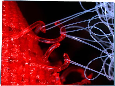 Microscopic image of velcro