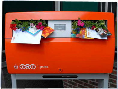 Mailbox with flowers blooming inside