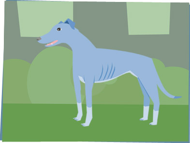 Cute greyhound dog