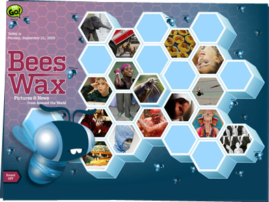 Screen shot of Beeswax Web site