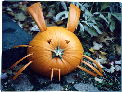 Carved pumpkin bunny