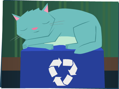 Kitty sleeping on a recycling bin