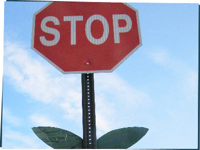 Stop sign with leaves attached to the sign post