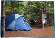 A blue tent in the woods