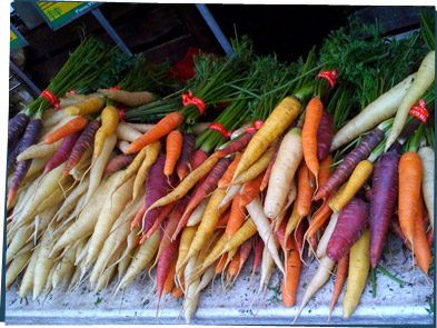 Purple, white, orange, and yellow carrots