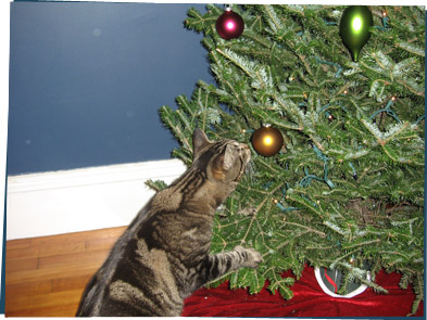 Cat playing with Christmas tree ornaments
