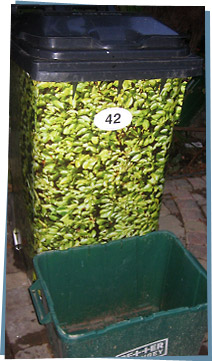 Wheelie bin decorated with leaf pattern