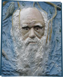 Sculpture of Charles Darwin