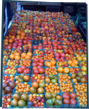 Many boxes of tomatoes of different colors and sizes