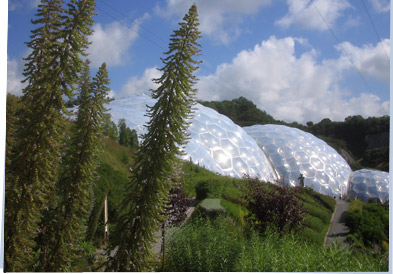 Eden Project domes