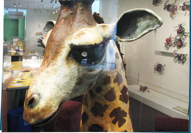 Giraffe sculpture made of trash