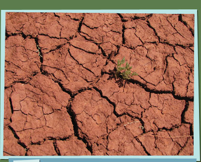 Parched earth