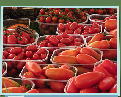 Boxes of tomatoes in a stall.