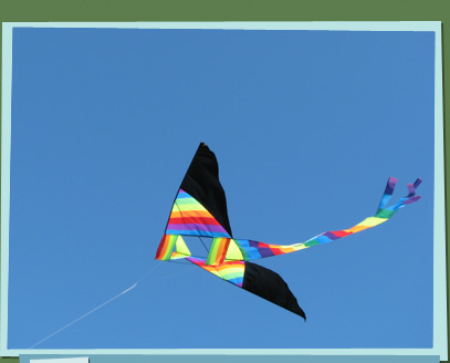 Kite in the sky