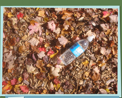 A plastic bottle on a pile of dried leaves