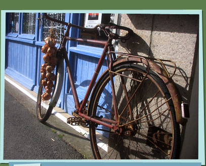 Bicycle with onions attached