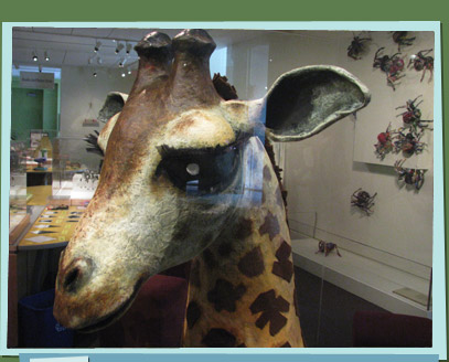 Trash art giraffe