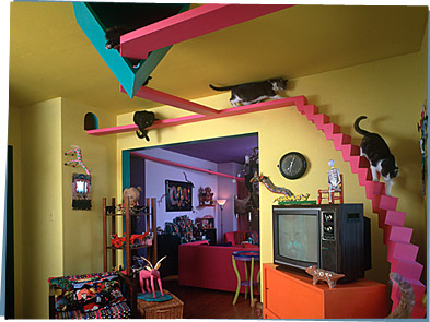 Cats climb down their own staircase in a colorful house.
