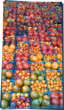 Cartons of tomatoes at a farmers market