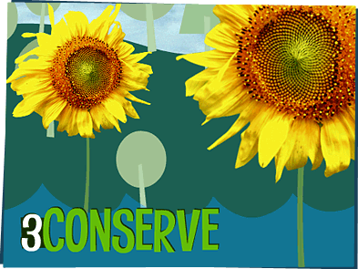 CONSERVE