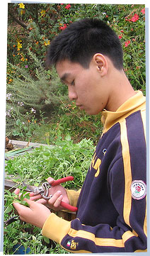 Walter working in the garden