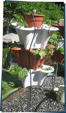 Hydroponic garden