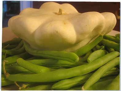 Hydroponic squash and green beans