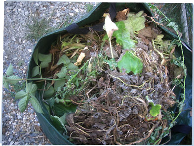 Compost in bag outside