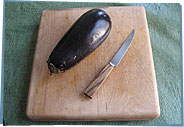 Eggplant and knife on cutting board