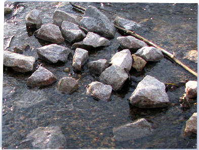 Shallow, rocky stream with a twig